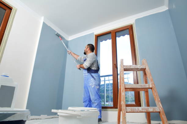 Best Emergency Mold Remediation  in St Bonifacius, MN