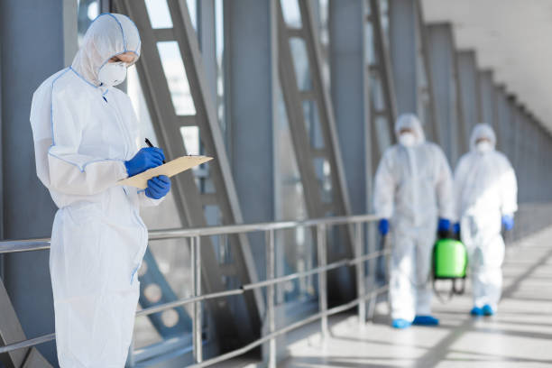 Asbestos and Lead Testing During Mold Inspection in St Bonifacius, MN
