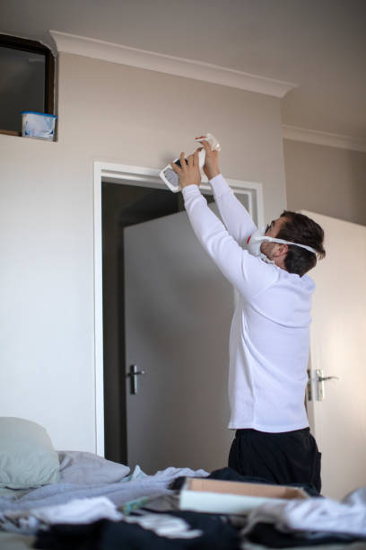 Best Black Mold Removal  in St Bonifacius, MN