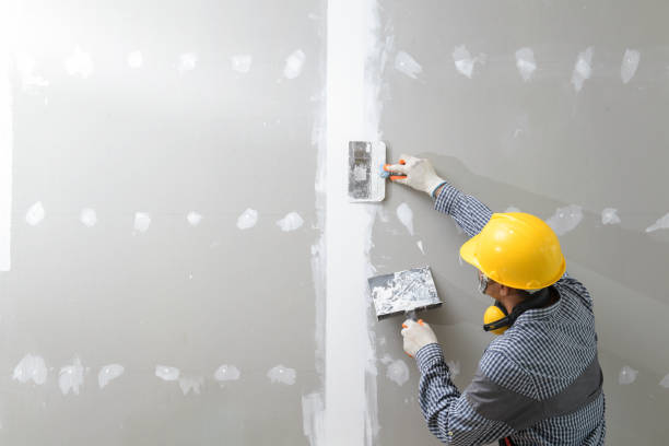  St Bonifacius, MN Mold Removal Pros