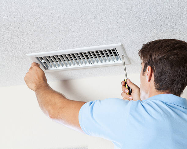 Best Mold Removal for HVAC Installations  in St Bonifacius, MN