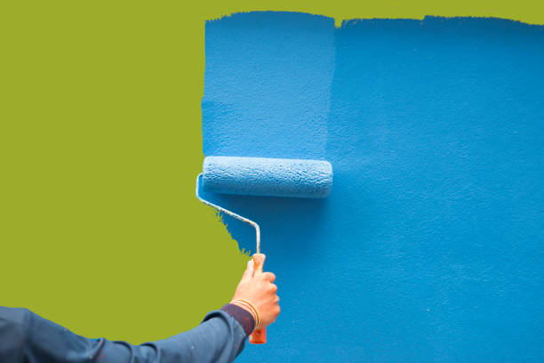 Reliable St Bonifacius, MN Mold Removal Solutions